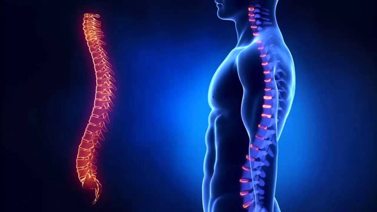 Osteocondroza este clasificată în funcție de părțile coloanei vertebrale în care se dezvoltă boala.